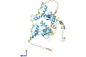 AlphaFold protein structure predicition of Human Recombinant ZNF101 Protein, UniprotID Q8IZC7