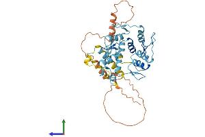 AlphaFold protein structure predicition of Human Recombinant ZNF547 Protein, UniprotID Q8IVP9