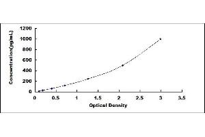 Typical standard curve (LAMC2 Kit ELISA)