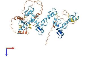 AlphaFold protein structure predicition of Human Recombinant ZNF582 Protein, UniprotID Q96NG8