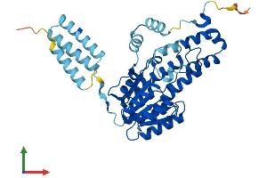 AlphaFold protein structure predicition of Mouse Recombinant Hsd11b2 Protein, UniprotID P51661