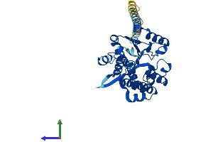 AlphaFold protein structure predicition of Human Recombinant HS2ST1 Protein, UniprotID Q7LGA3