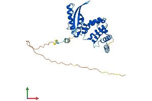 AlphaFold protein structure predicition of Human Recombinant SNX20 Protein, UniprotID Q7Z614