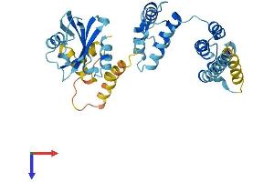AlphaFold protein structure predicition of Human Recombinant PNMA1 Protein, UniprotID Q8ND90