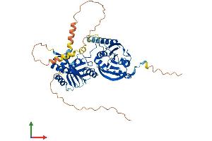 AlphaFold protein structure predicition of Human Recombinant THUMPD3 Protein, UniprotID Q9BV44