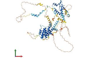 AlphaFold protein structure predicition of Human Recombinant SPIRE2 Protein, UniprotID Q8WWL2