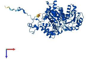 AlphaFold protein structure predicition of Human Recombinant ME1 Protein, UniprotID P48163