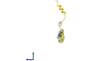 AlphaFold protein structure predicition of Human Recombinant DSCR8 Protein, UniprotID Q96T75