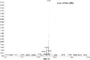 Mass Spectrometry (MS) image for Histone H3 (H3) (H3K9me) protein (ABIN2669569)