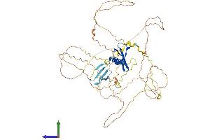 AlphaFold protein structure predicition of Mouse Recombinant Cbx4 Protein, UniprotID O55187