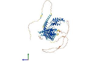 AlphaFold protein structure predicition of Mouse Recombinant Spast Protein, UniprotID Q9QYY8