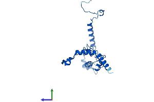AlphaFold protein structure predicition of Mouse Recombinant Rpl13 Protein, UniprotID P47963