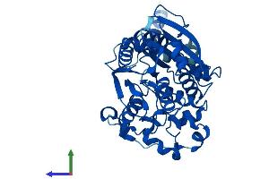 AlphaFold protein structure predicition of Human Recombinant AADAC Protein, UniprotID P22760