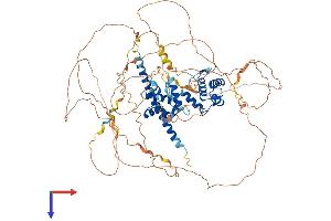 AlphaFold protein structure predicition of Mouse Recombinant Reps1 Protein, UniprotID O54916