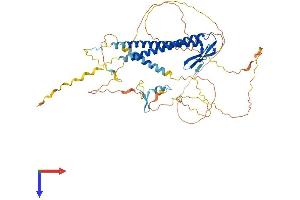 AlphaFold protein structure predicition of Human Recombinant URI1 Protein, UniprotID O94763