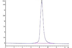 The purity of Biotinylated Human LILRB5 is greater than 95 % as determined by SEC-HPLC.