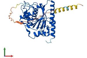 AlphaFold protein structure predicition of Human Recombinant B3GALT1 Protein, UniprotID Q9Y5Z6