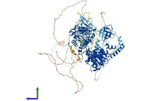 AlphaFold protein structure predicition of Human Recombinant UPF1 Protein, UniprotID Q92900