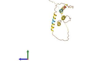 AlphaFold protein structure predicition of Mouse Recombinant Arl6ip6 Protein, UniprotID Q8BH07