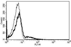 A typical staining pattern with the B-G6 monoclonal antibody of lymphocytes