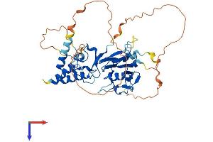AlphaFold protein structure predicition of Mouse Recombinant Smad7 Protein, UniprotID O35253