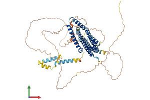 AlphaFold protein structure predicition of Human Recombinant FAM114A1 Protein, UniprotID Q8IWE2