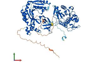 AlphaFold protein structure predicition of Human Recombinant UBASH3B Protein, UniprotID Q8TF42
