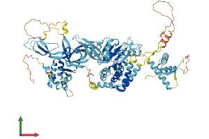 AlphaFold protein structure predicition of Human Recombinant MCM6 Protein, UniprotID Q14566