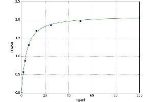 Hepcidin 25 (HEPC25) ELISA Kit