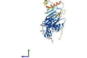AlphaFold protein structure predicition of Human Recombinant ADAM5 Protein, UniprotID Q6NVV9