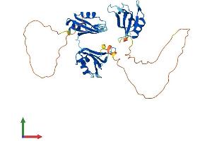 AlphaFold protein structure predicition of Mouse Recombinant Elavl4 Protein, UniprotID Q61701