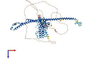 AlphaFold protein structure predicition of Human Recombinant MEFV Protein, UniprotID O15553