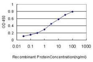 Detection limit for recombinant GST tagged SMARCB1 is approximately 0.