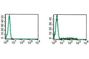 Flow Cytometry (FACS) image for anti-Interleukin 17A (IL17A) antibody (PE) (ABIN1107810) (Interleukin 17a anticorps  (PE))