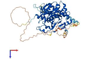 AlphaFold protein structure predicition of Mouse Recombinant Hspbap1 Protein, UniprotID Q8BK58