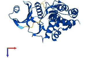 AlphaFold protein structure predicition of Mouse Recombinant Fn3k Protein, UniprotID Q9ER35