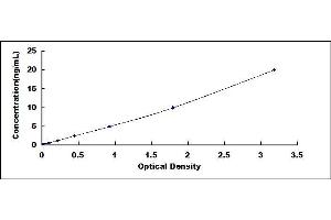 Typical standard curve (COMP Kit ELISA)