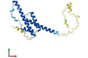 AlphaFold protein structure predicition of Human Recombinant RD3 Protein, UniprotID Q7Z3Z2