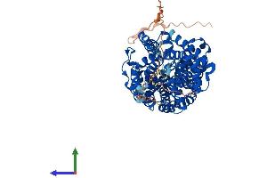 AlphaFold protein structure predicition of Human Recombinant SLC6A4 Protein, UniprotID P31645