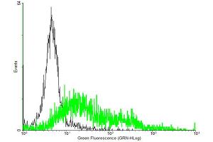 FACS analysis of negative control 293 cells (Black) and NPY5R expressing 293 cells (Green) using NPY5R purified MaxPab mouse polyclonal antibody.