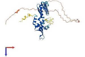 AlphaFold protein structure predicition of Human Recombinant MAGEA3 Protein, UniprotID P43357