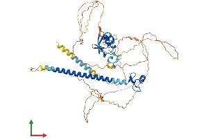 AlphaFold protein structure predicition of Mouse Recombinant Deaf1 Protein, UniprotID Q9Z1T5