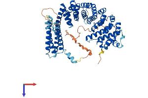 AlphaFold protein structure predicition of Mouse Recombinant Insc Protein, UniprotID Q3HNM7