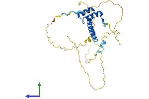 AlphaFold protein structure predicition of Human Recombinant CDX1 Protein, UniprotID P47902