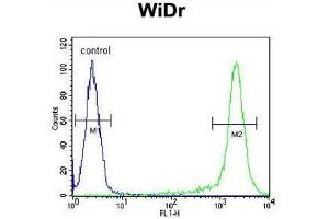 AMAC1L2 Antibody (N-term) flow cytometric analysis of WiDr cells (right histogram) compared to a negative control cell (left histogram). (AMAC1L2 anticorps  (N-Term))