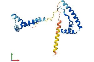 AlphaFold protein structure predicition of Mouse Recombinant Hmgb3 Protein, UniprotID O54879