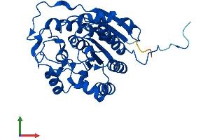 AlphaFold protein structure predicition of Mouse Recombinant Arg1 Protein, UniprotID Q61176