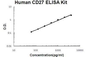 Human TNFRSF7/CD27 PicoKine ELISA Kit standard curve (CD27 Kit ELISA)
