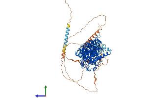 AlphaFold protein structure predicition of Mouse Recombinant Scyl1 Protein, UniprotID Q9EQC5