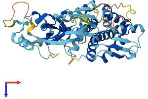 AlphaFold protein structure predicition of Mouse Recombinant Gsdma Protein, UniprotID Q9EST1